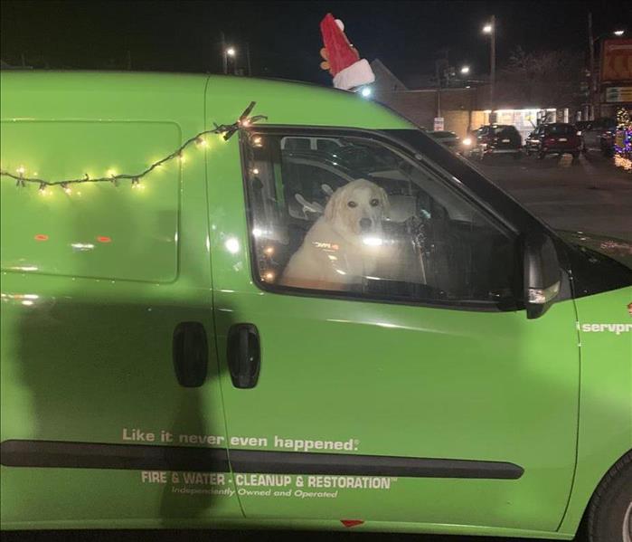 Picture of a decorated SERVPRO van with a dog in the passanger side as part of a local parade