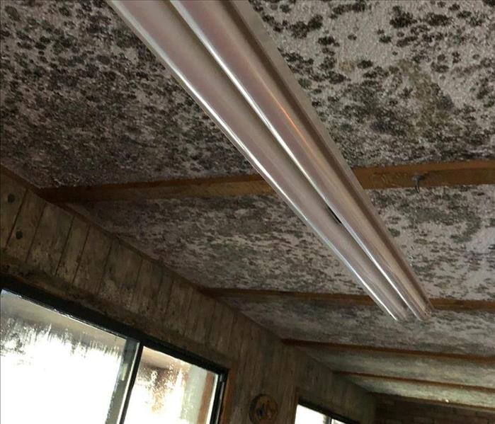 A picture of a mold covered ceiling