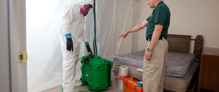 Honesdale, PA mold removal process
